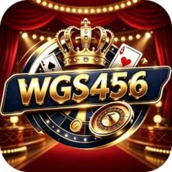 WGS456 Game Download Android APK for Pakistani Users
